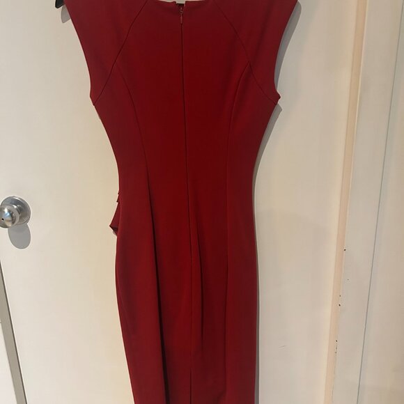 Red Sleeveless Sheath Dress - Picture 3 of 4